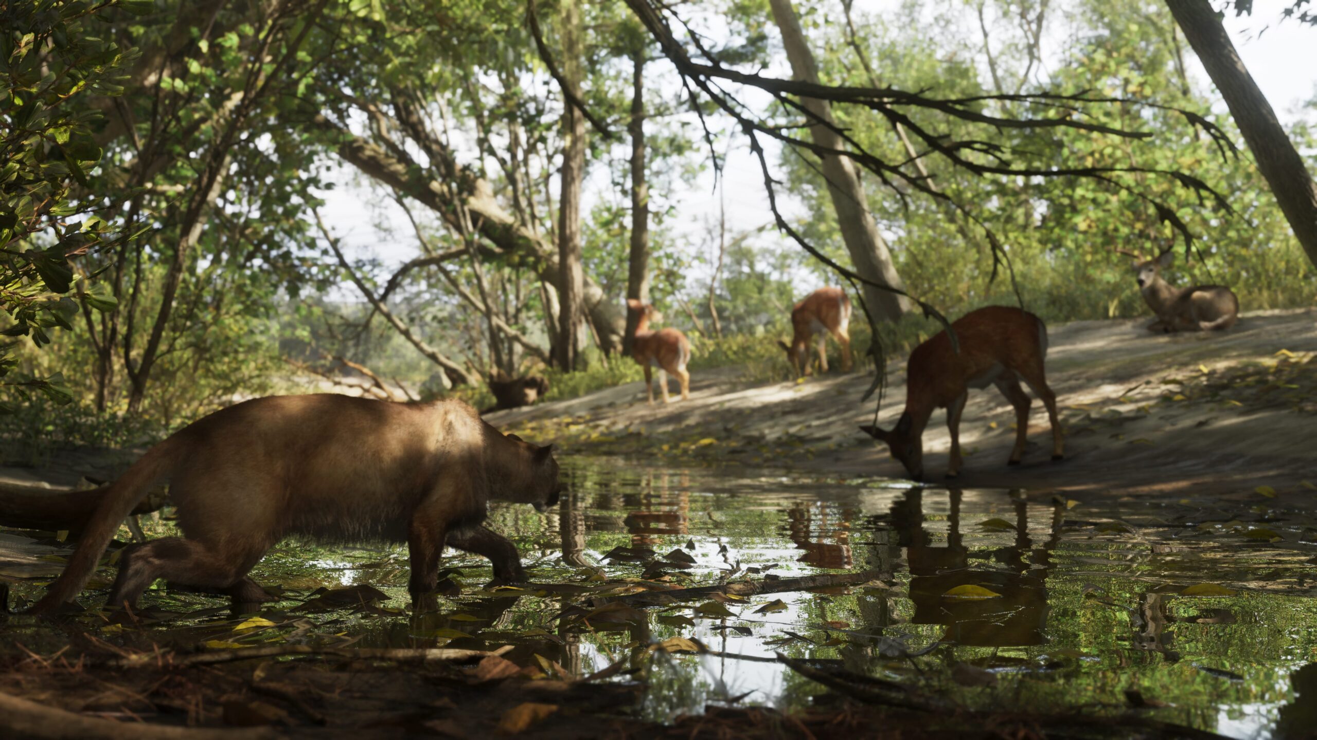 Reserva_Natural_Mount_Kalaga_05